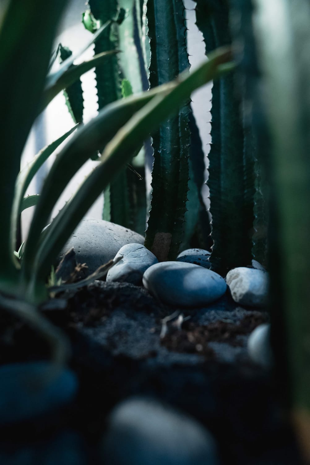 Victoriouscoach.com, ambiance