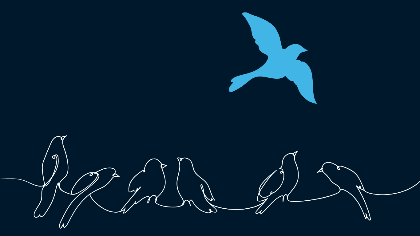 Illustration of birds symbolizing independent thought and freedom… company artwork for Honest Health Publishing