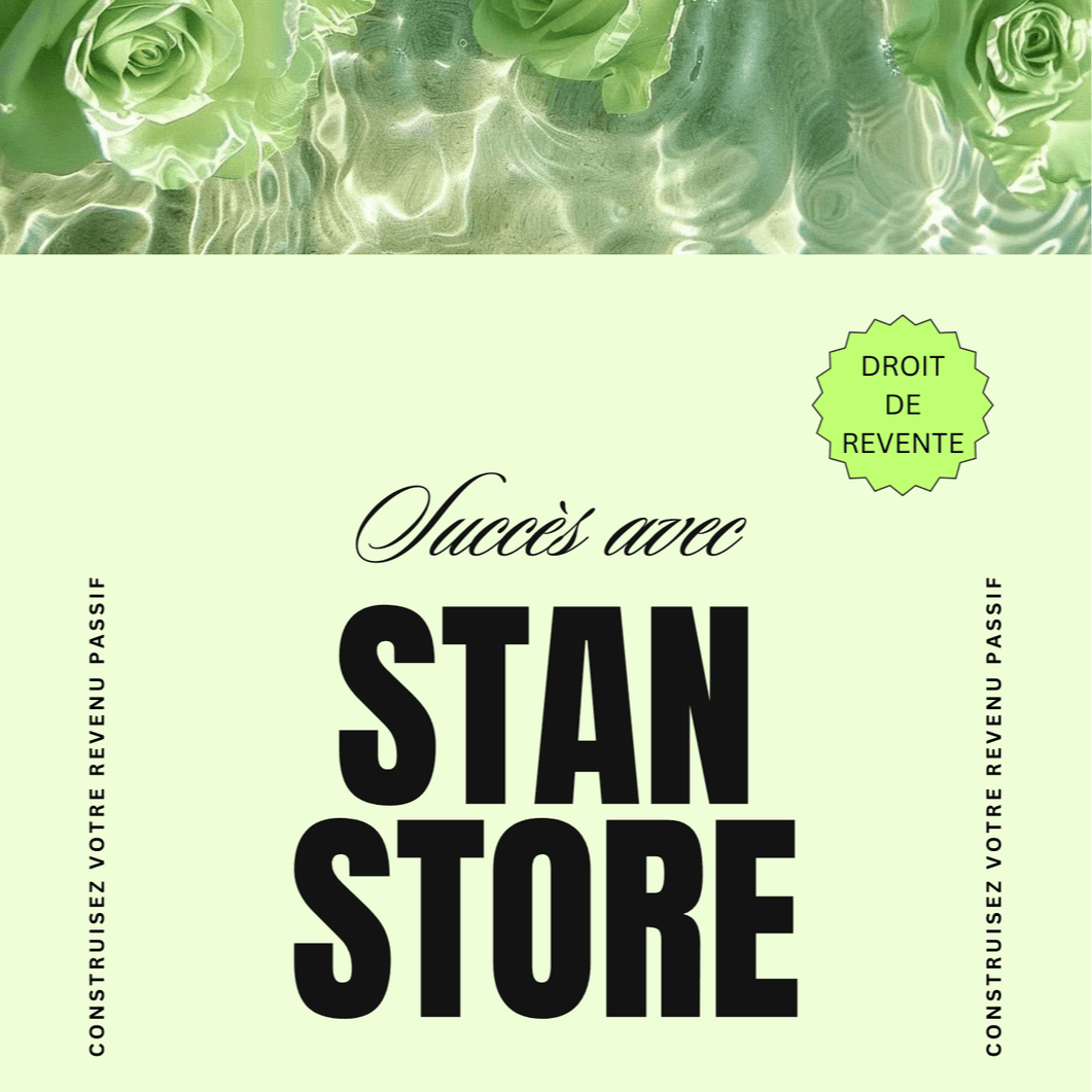 Succès avec Stan Store