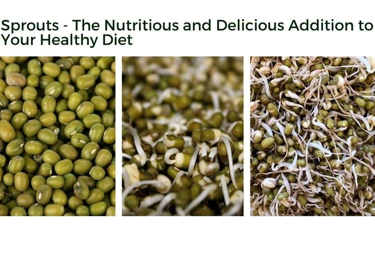 Sprouts – The Nutritious and Delicious Addition to Your Healthy Diet