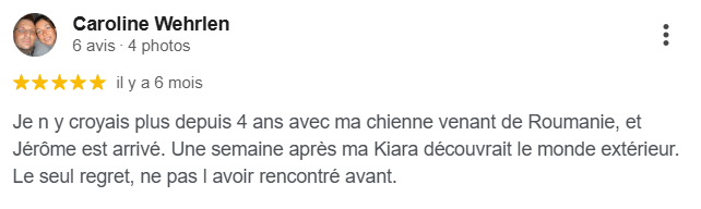 Avis client Google