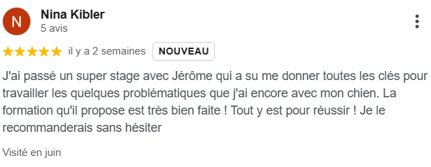 Avis client Google