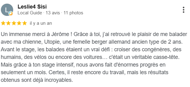 Avis client Google