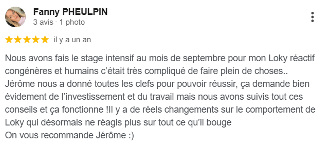 Avis client Google