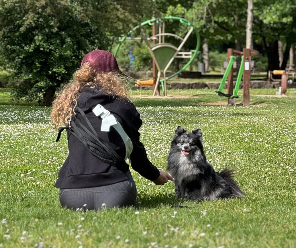 Tixie en séance d'éducation canine dans un parc avec sa maîtresse
