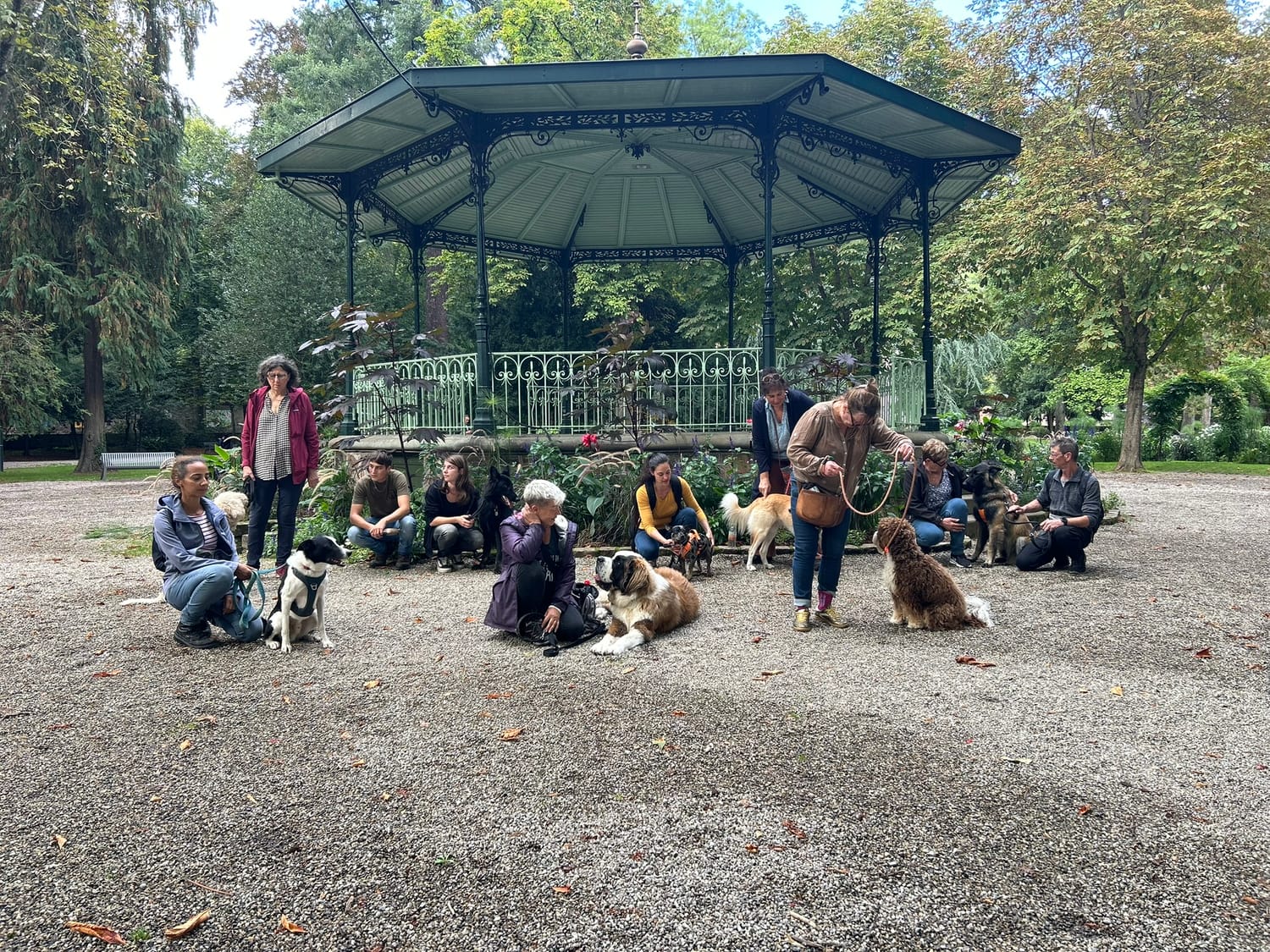 Stage d'éducation canine en tout petit groupe : quatre duos maître-chien maximum pour un suivi individuel