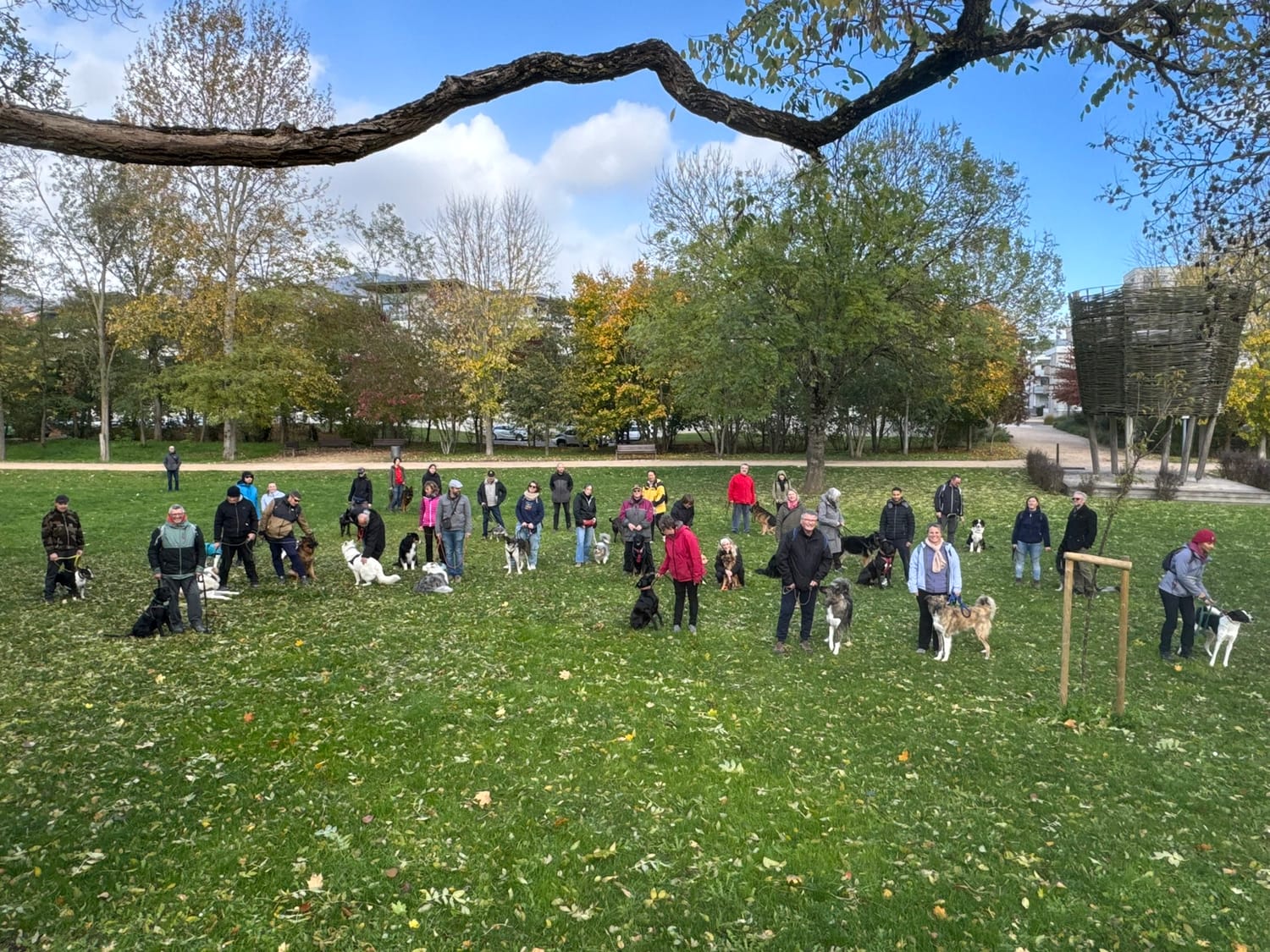 Session collective d'éducation canine à Cernay, en Alsace : les duos maître-chien des stages précédents se retrouvent pour travailler ensemble en extérieur