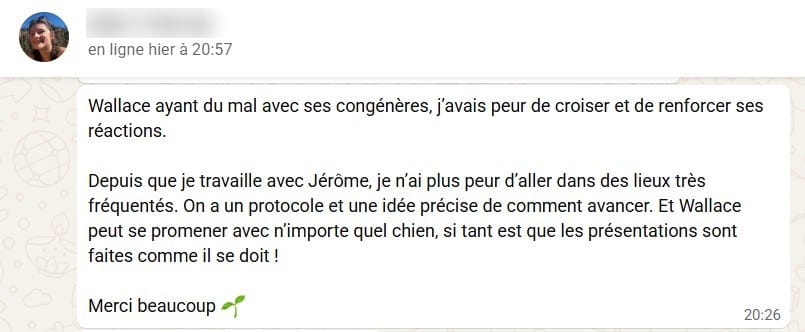 Message de la maîtresse de Wallace : elle n'a plus peur des lieux fréquentés et il peut se promener avec n'importe quel chien