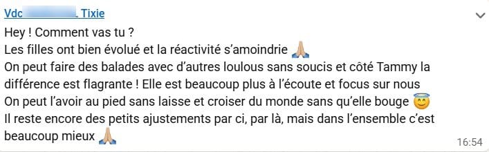 Message de la maîtresse de Tixie : les chiennes ont bien évolué, la réactivité s'atténue, balades sereines