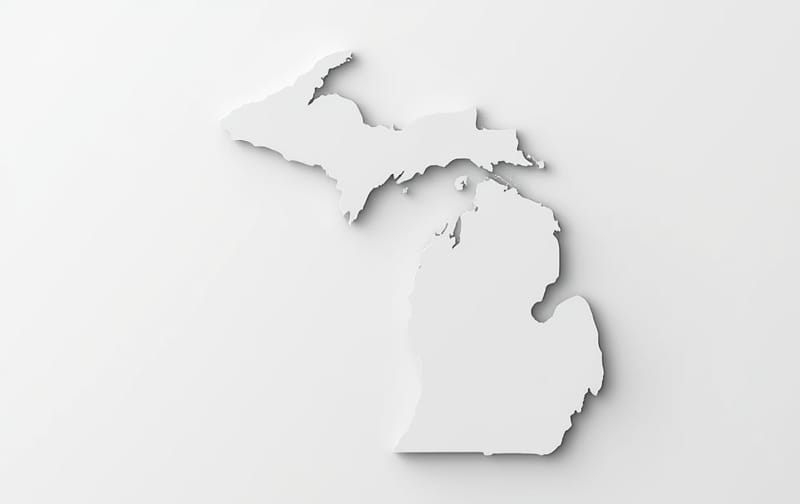 simple Michigan outline placeholder