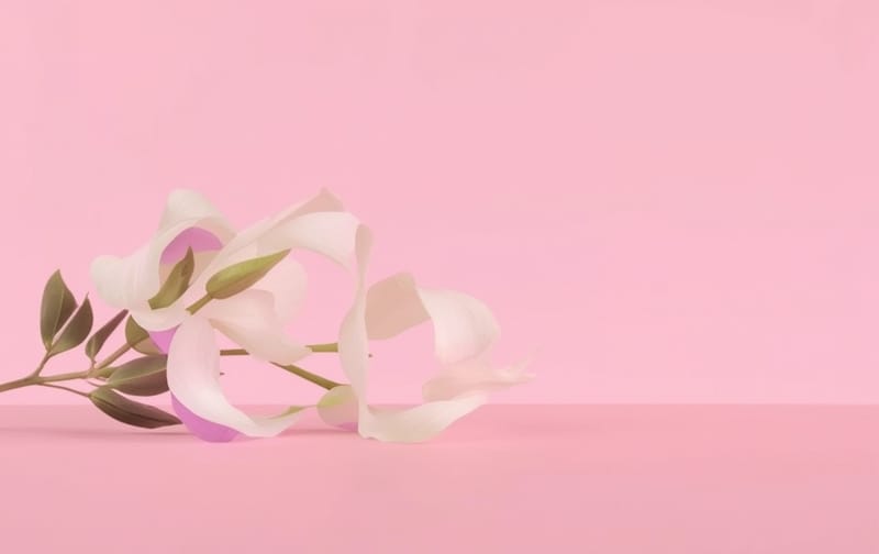 neutral product preview placeholder