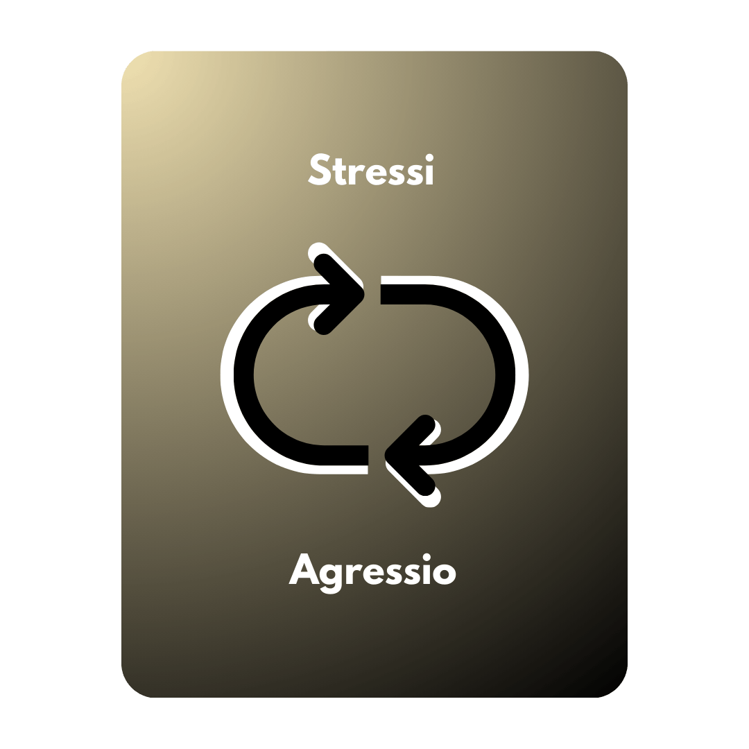 Infograafi, stressi vahvistaa agressiota.