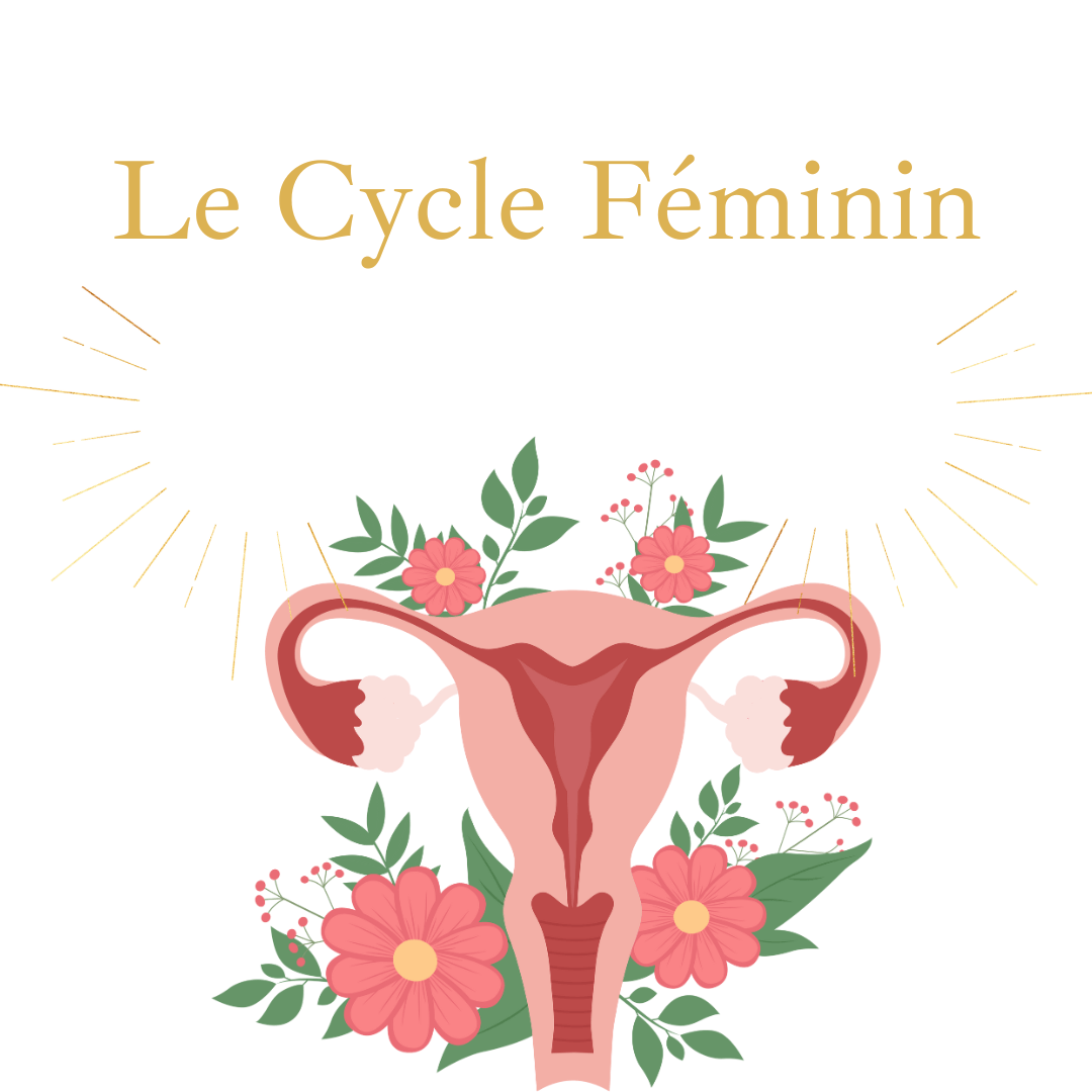 Mon Cycle Féminin