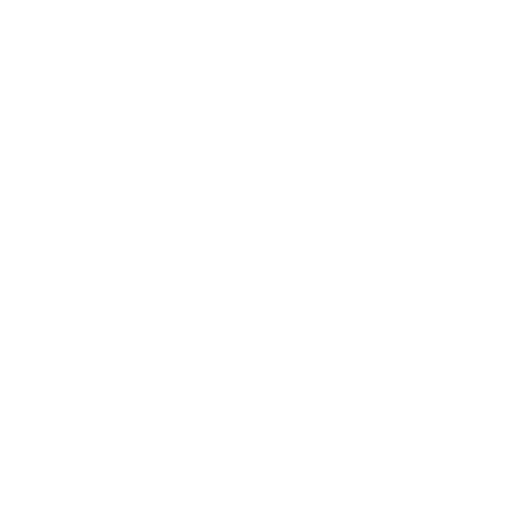 pempis seo logo