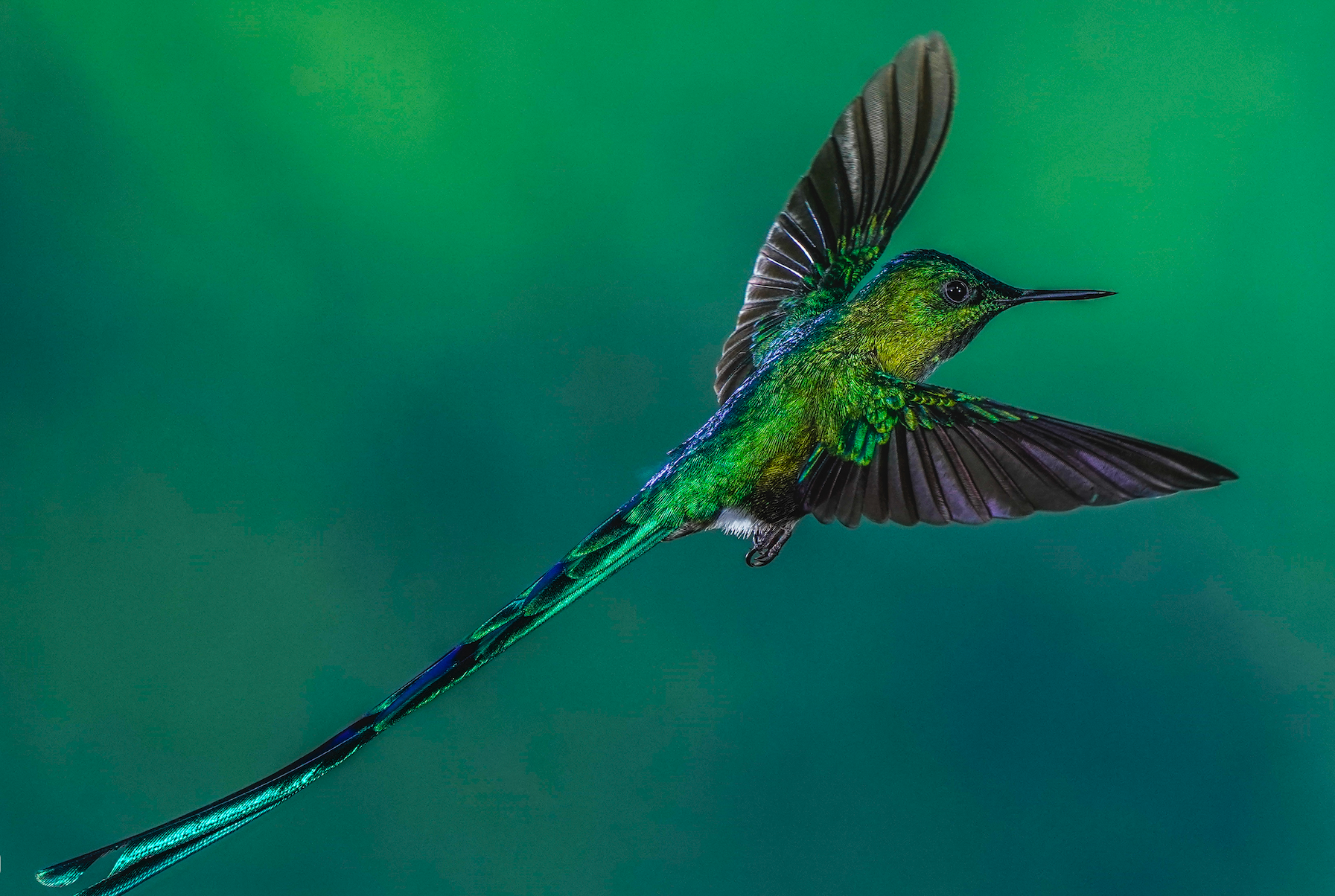 Upcoming Colombia Photo Expeditions