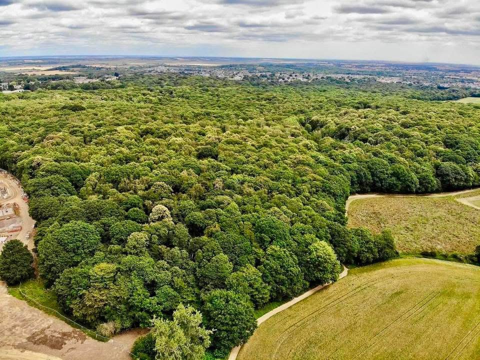 View across fields north of Greensward Lane