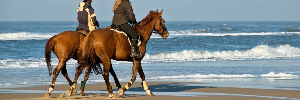 A ridden horse on the beach