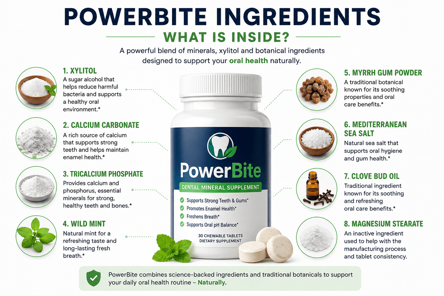 PowerBite Ingredients: What Is Inside?