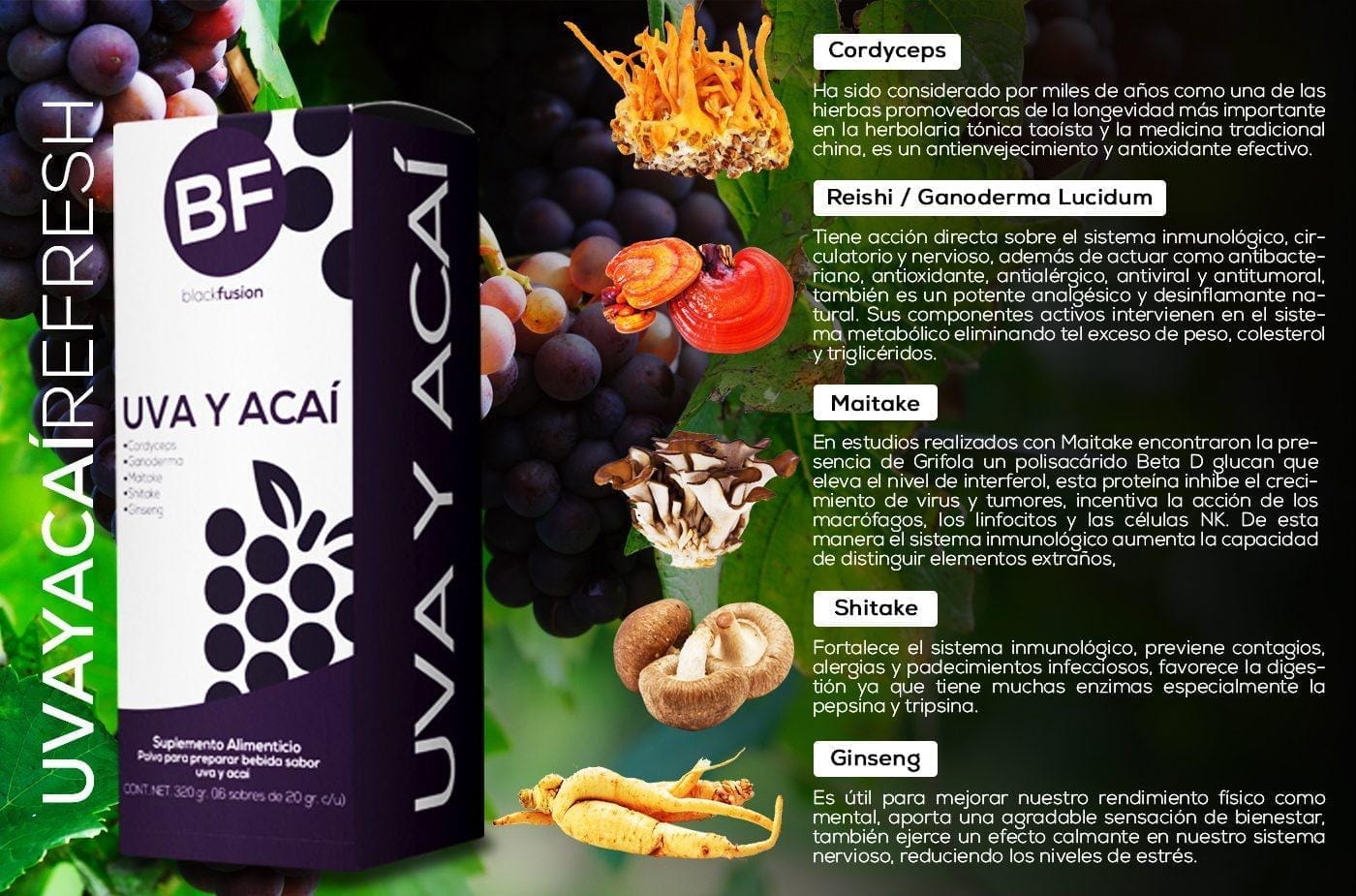 El Ganoderma Lucidum, también conocido como Reishi o Ling Zhi en Asia, es un hongo medicinal muy antiguo y de gran valor.