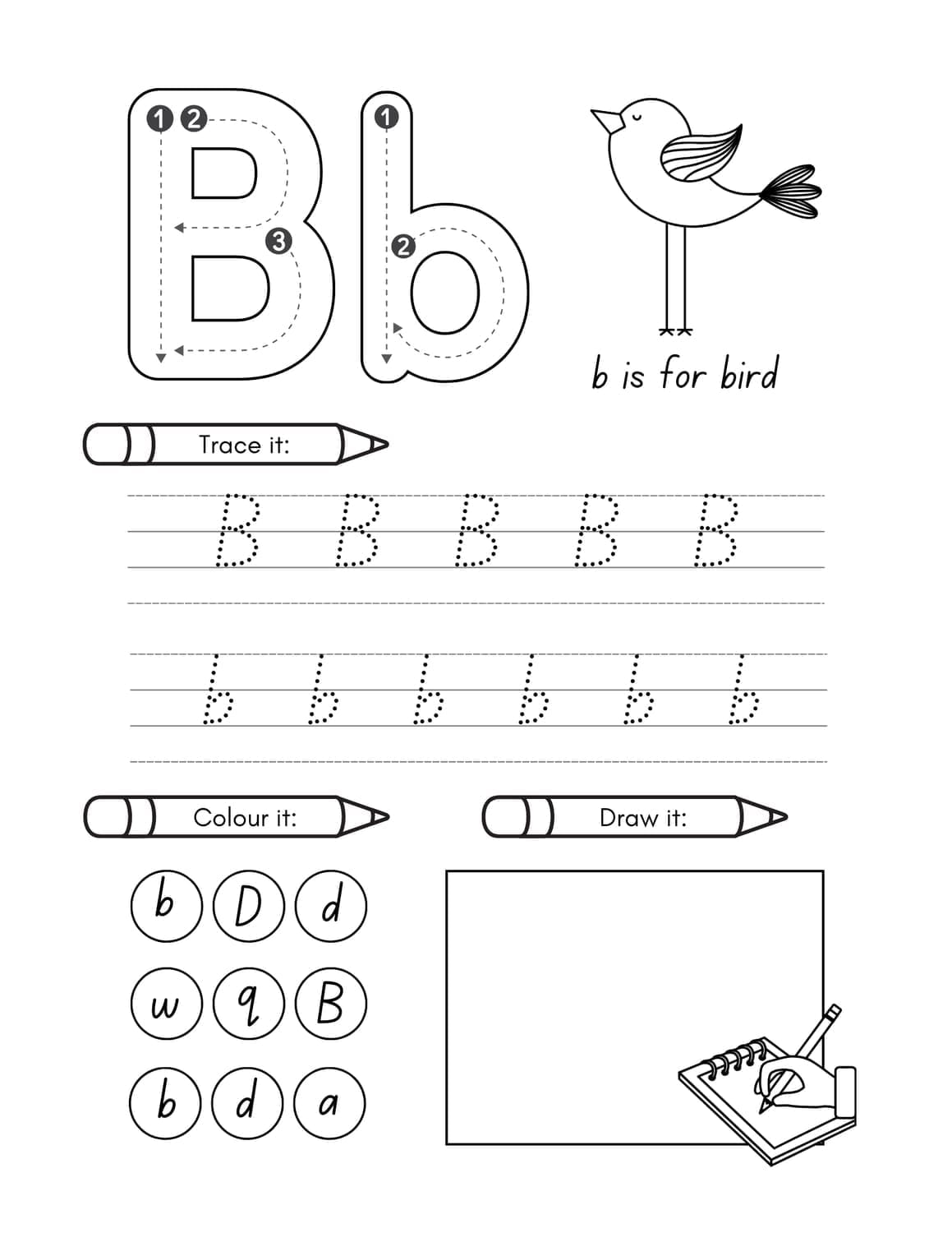 Letter B printable worksheet with tracing, bird coloring, letter search, and drawing activity