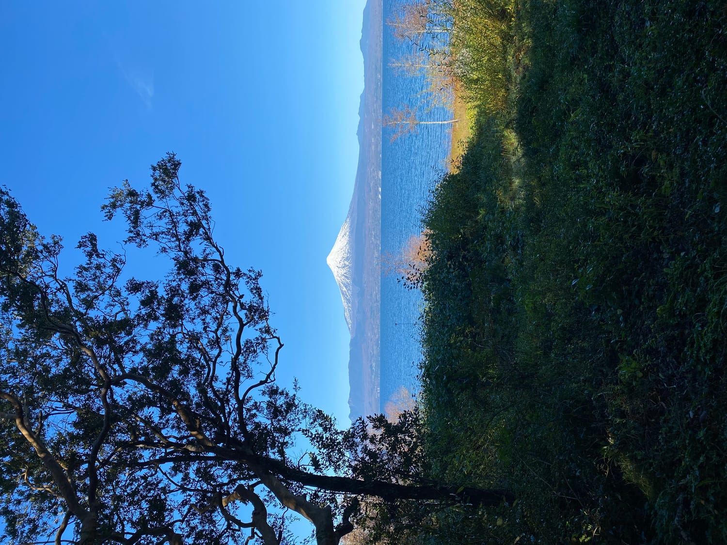 Atardecer en el lago