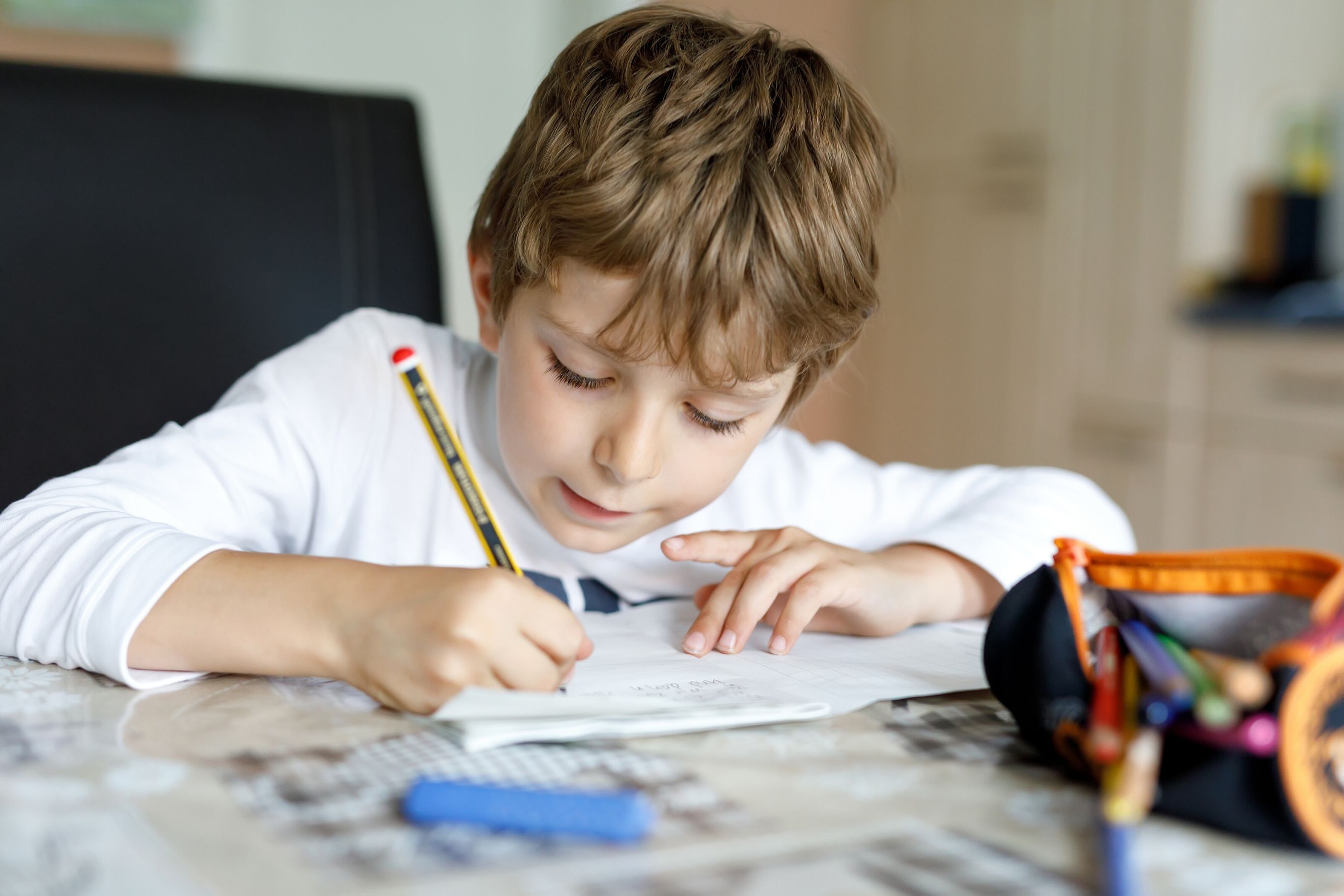 The brain is 98% sensory based, alternative learning lights up the whole brain