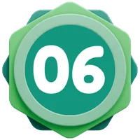 06