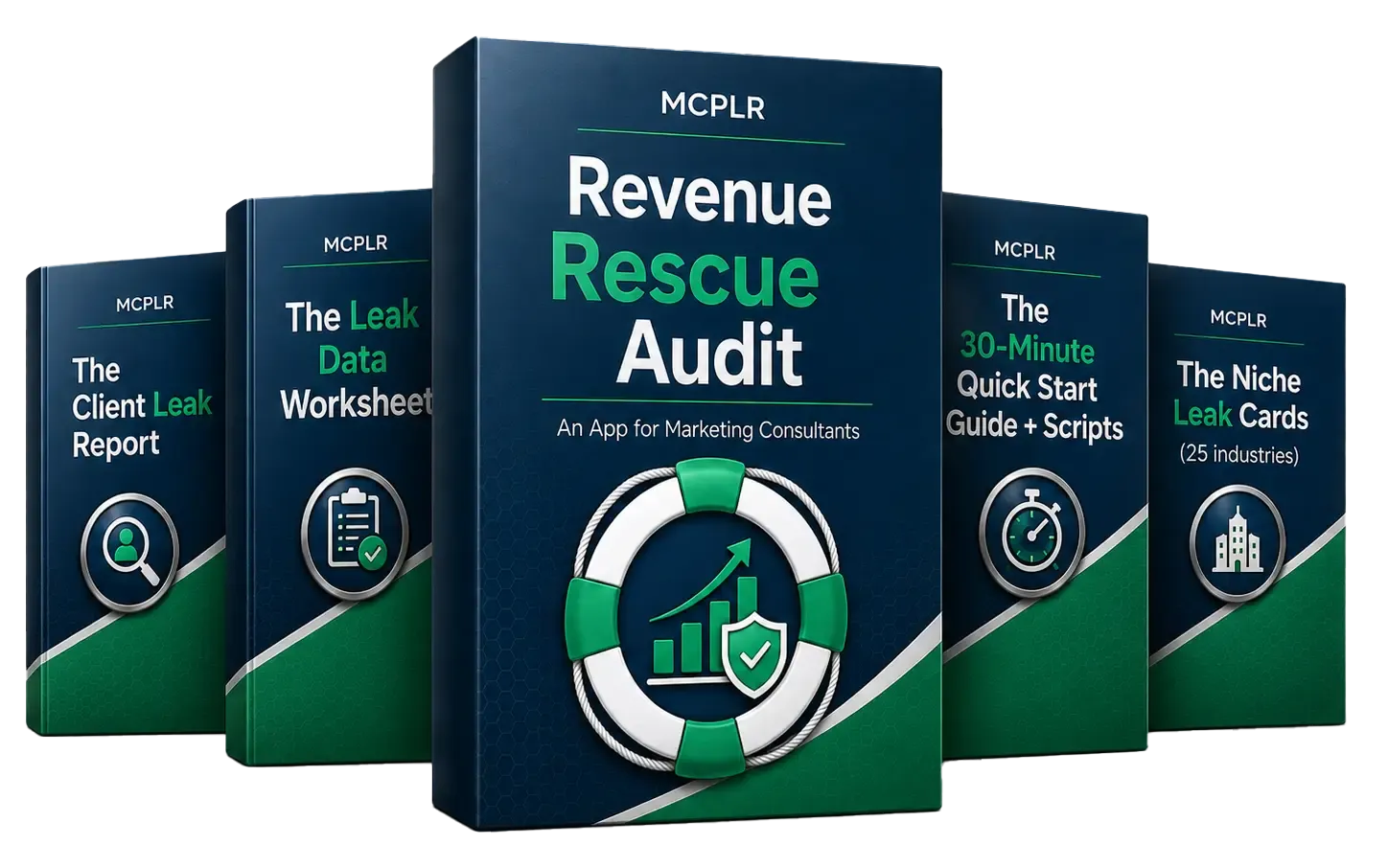 Revenue Rescue Audit