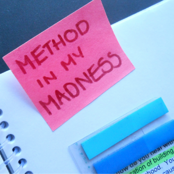 METHOD IN MY MADNESS - STAGE PRESENCE CENTRAL - © DEBORAH CLAIRE PROCTER