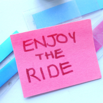 ENJOY THE RIDE - STAGE PRESENCE CENTRAL - © DEBORAH CLAIRE PROCTER
