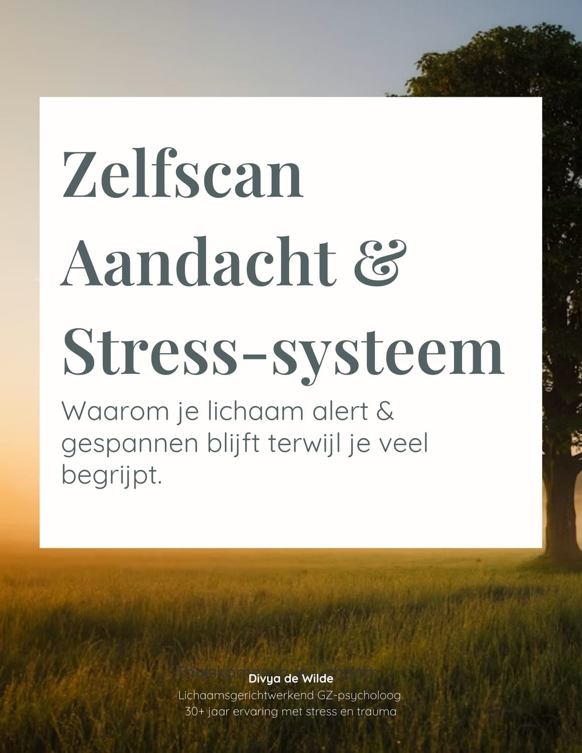 Zelfscan Aandacht & Stress-systeem