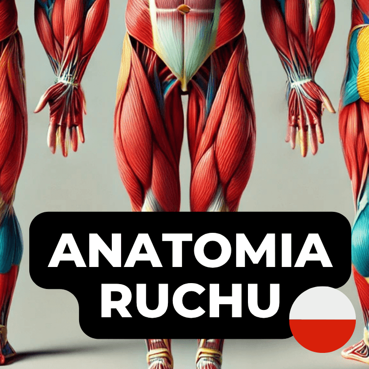 KURS Anatomia Ruchu (PL)