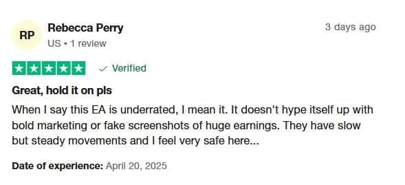 metatrading ai reviews Trustpilot Excellent reviews - the hustle nation