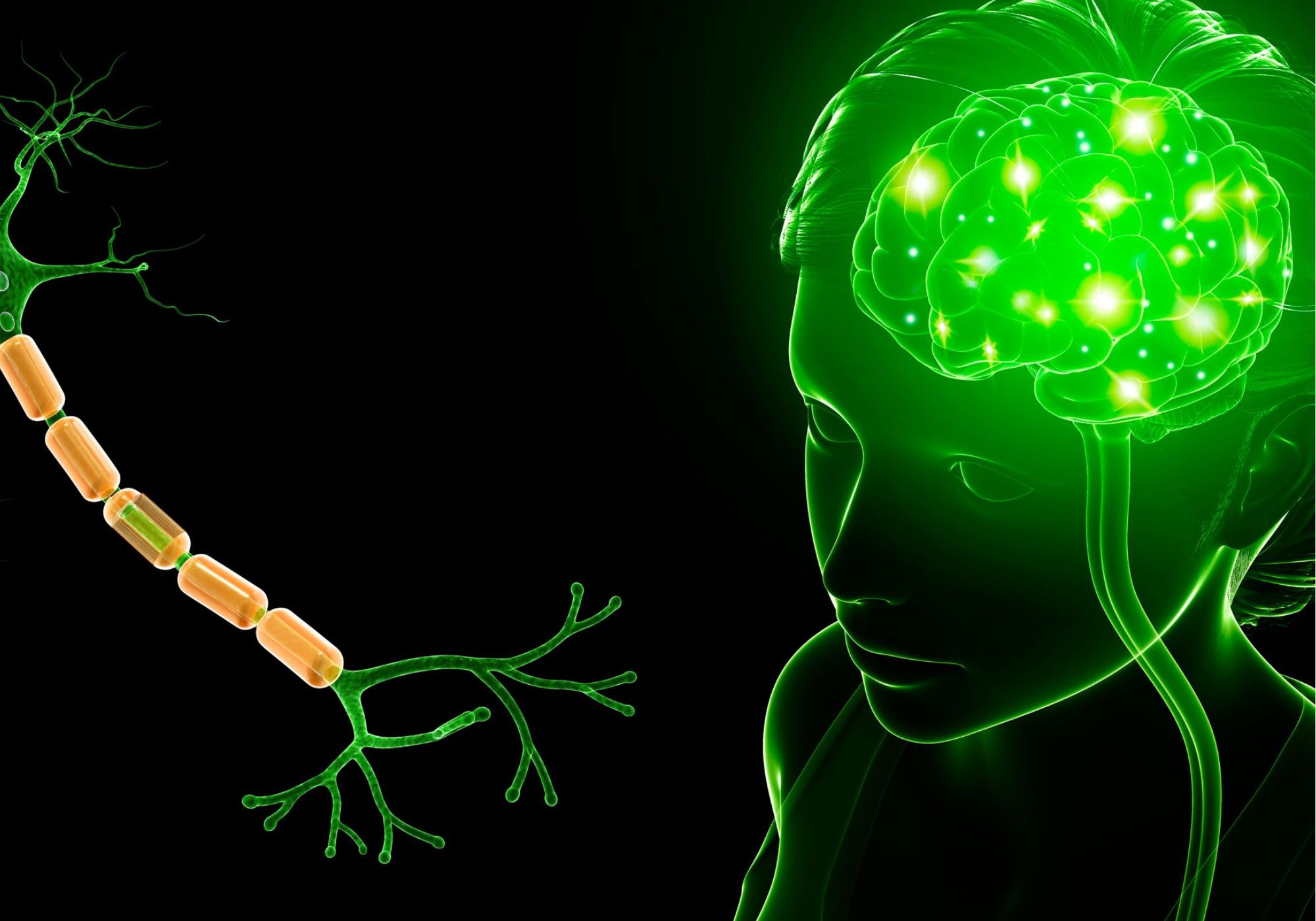 Muscle Testing: How Does It Work?