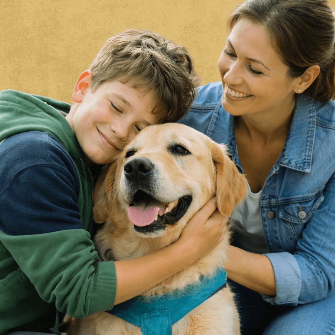 Vous êtes un établissement médico-social ou scolaire ? France Médiation Animale vous aide à intégrer la médiation animale avec des intervenants certifiés
