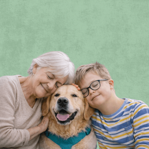 Vous êtes un établissement médico-social ou scolaire ? France Médiation Animale vous aide à intégrer la médiation animale avec des intervenants certifiés