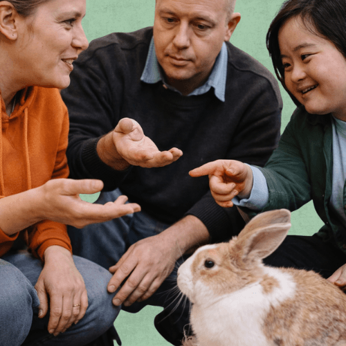 Vous êtes un établissement médico-social ou scolaire ? France Médiation Animale vous aide à intégrer la médiation animale avec des intervenants certifiés