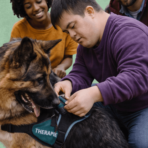 Vous êtes un établissement médico-social ou scolaire ? France Médiation Animale vous aide à intégrer la médiation animale avec des intervenants certifiés