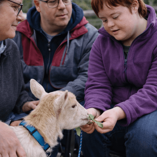 Vous êtes un établissement médico-social ou scolaire ? France Médiation Animale vous aide à intégrer la médiation animale avec des intervenants certifiés