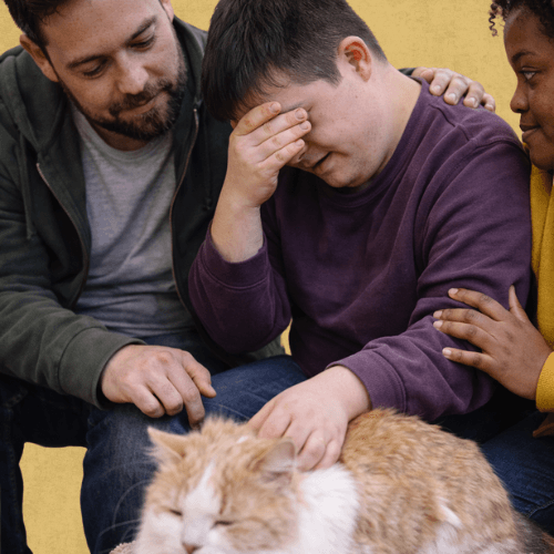 Vous êtes un établissement médico-social ou scolaire ? France Médiation Animale vous aide à intégrer la médiation animale avec des intervenants certifiés