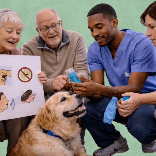 Vous êtes un établissement médico-social ou scolaire ? France Médiation Animale vous aide à intégrer la médiation animale avec des intervenants certifiés