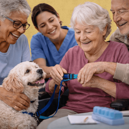 Vous êtes un établissement médico-social ou scolaire ? France Médiation Animale vous aide à intégrer la médiation animale avec des intervenants certifiés
