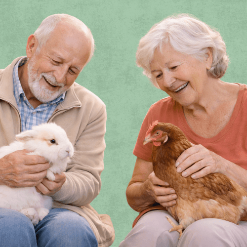 Vous êtes un établissement médico-social ou scolaire ? France Médiation Animale vous aide à intégrer la médiation animale avec des intervenants certifiés