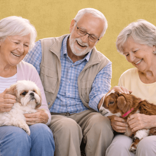 Vous êtes un établissement médico-social ou scolaire ? France Médiation Animale vous aide à intégrer la médiation animale avec des intervenants certifiés
