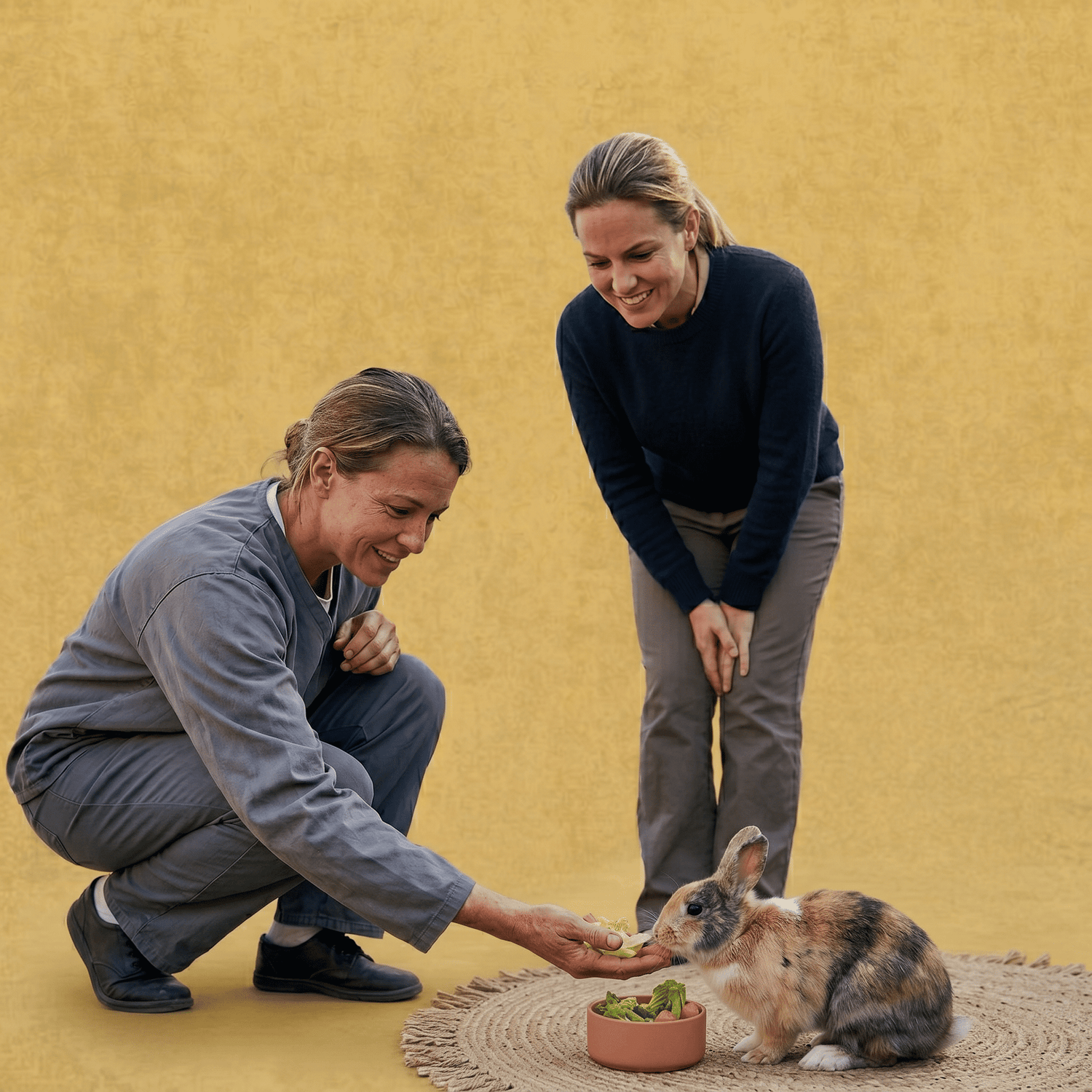 Vous êtes un établissement médico-social ou scolaire ? France Médiation Animale vous aide à intégrer la médiation animale avec des intervenants certifiés