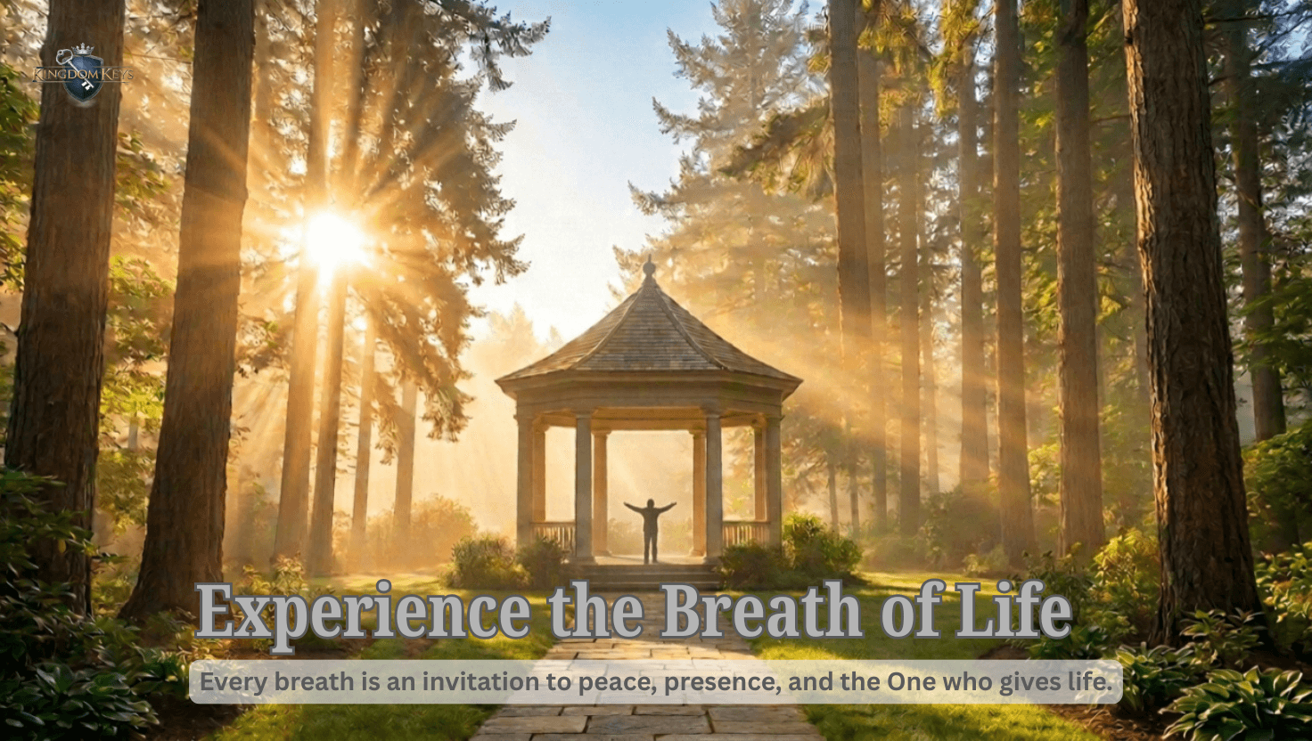 Sunrise streaming through a forest clearing where a person stands in a gazebo, present to every breath