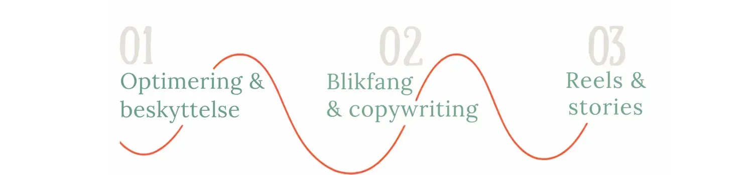 Grafisk illustration af tre workshops, forbundet af en bølgende rød linje, der symboliserer en rød tråd. Til venstre står tallet "01" i stor, lys grå skrift med teksten "Optimering & beskyttelse" nedenunder i grøn skrift. I midten står tallet "02" i samme store, lyse grå skrift med teksten "Blikfang & copywriting" nedenunder i grøn skrift. Til højre står tallet "03" med teksten "Reels & stories" nedenunder, ligeledes i grøn skrift. Den røde bølgende linje bevæger sig fra venstre mod højre og passerer under hver overskrift, hvilket visuelt forbinder de tre punkter.