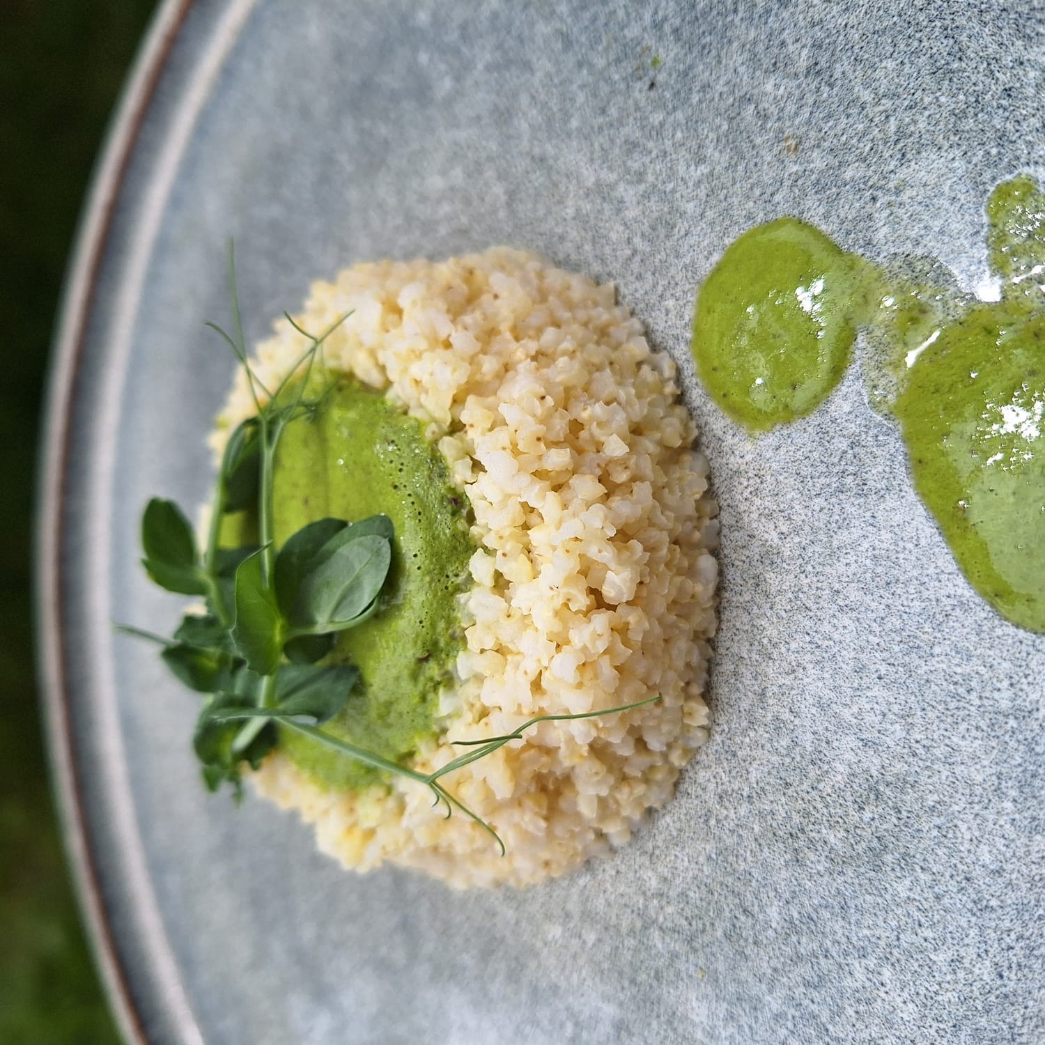 micro pousse pois