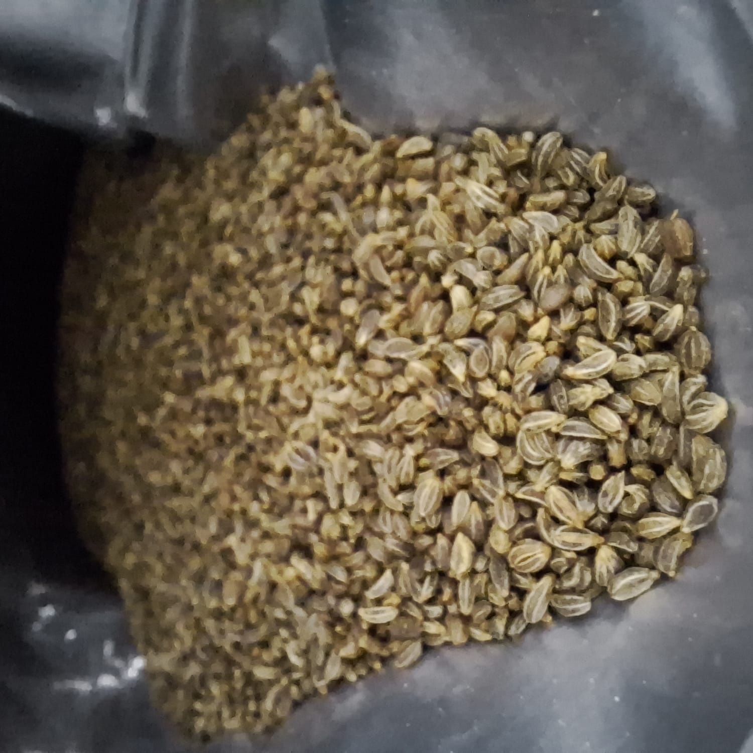 stockage graine micro pousse