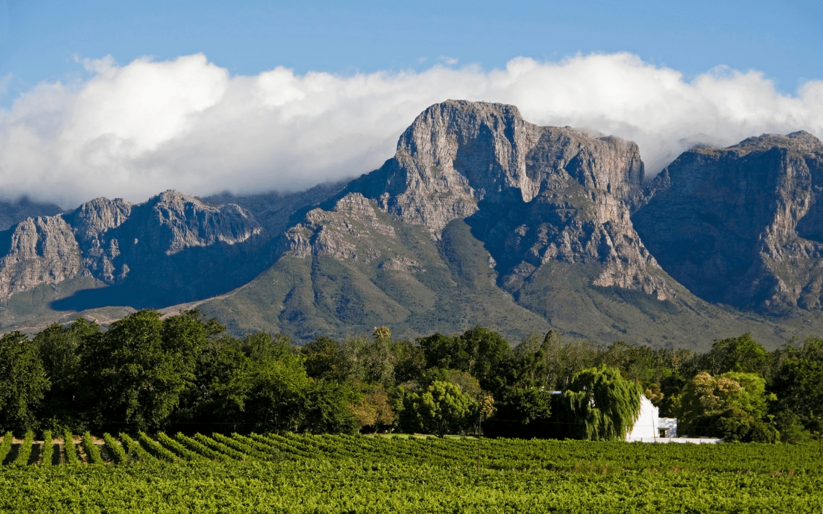 South Africa — Immersive Wine Route
